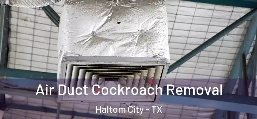  Air Duct Cockroach Removal Haltom City - TX