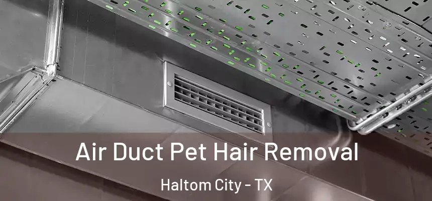 Air Duct Pet Hair Removal Haltom City - TX