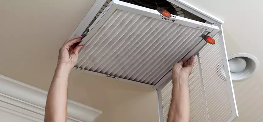 Preventive Cockroach-Proofing for Ducts in Haltom City