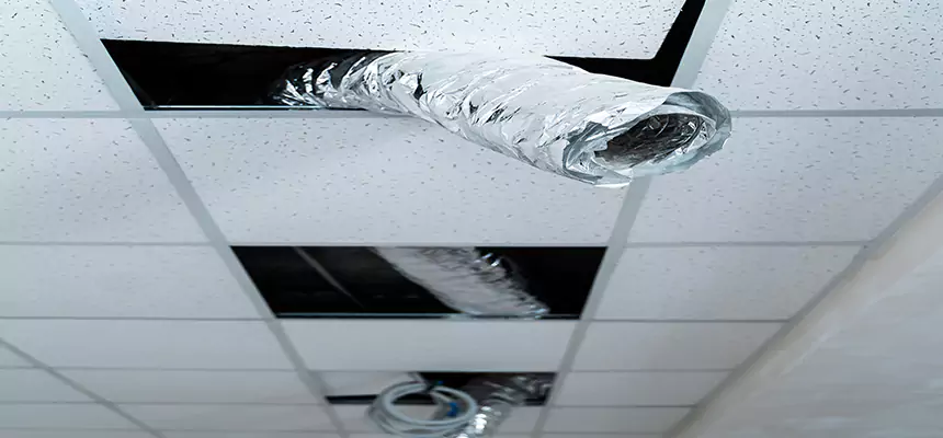 Affordable HVAC Sanitizing After Pest Removal in Haltom City