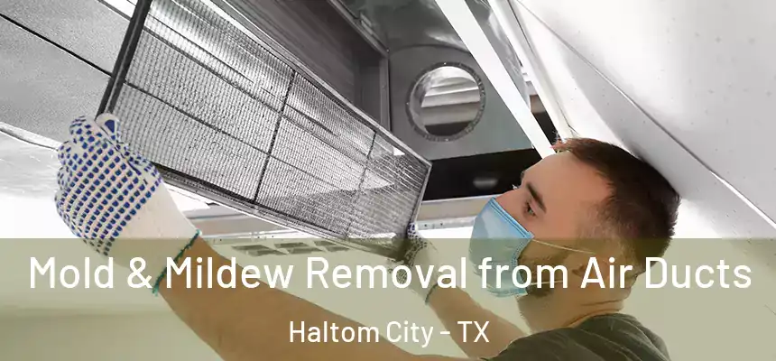 Mold & Mildew Removal from Air Ducts Haltom City - TX