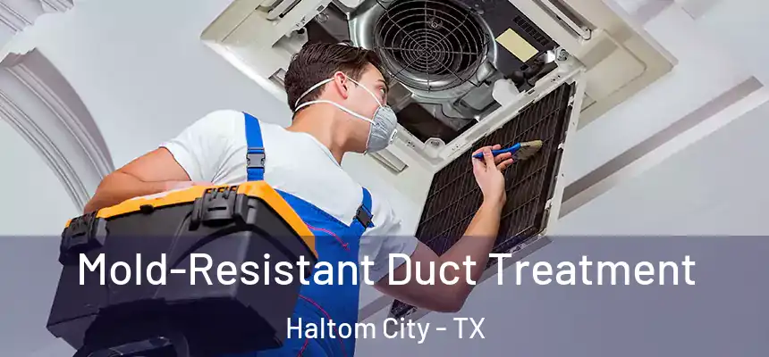  Mold-Resistant Duct Treatment Haltom City - TX