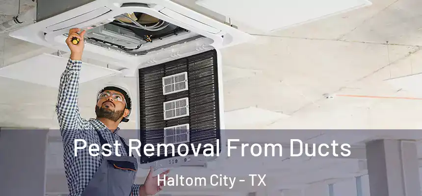 Pest Removal From Ducts Haltom City - TX
