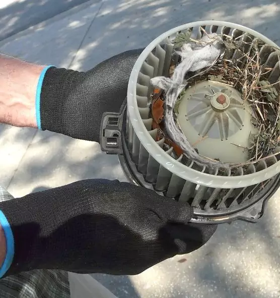 About Air Duct Rat Removal in Haltom City, TX