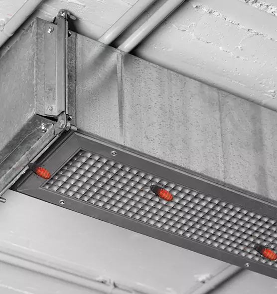 Affordable Insect Removal from Air Ducts in Haltom City, TX