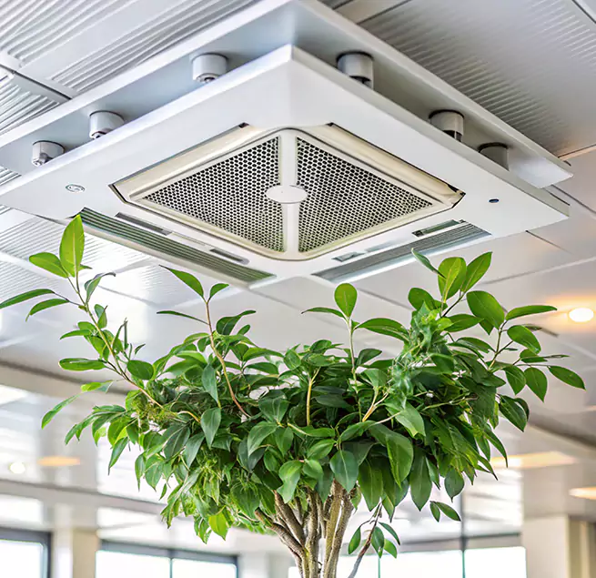 Why Homeowners & Businesses Trust Us in Haltom City, TX?